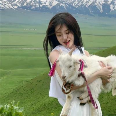 鼠跑镇的问题儿童